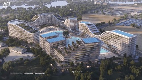 Primăria Sectorului 1, amendă de 475.000 de lei pentru societatea Central District 4 Elemente care a defrișat ilegal 47 de arbori pentru proiectul imobiliar „Lagoon City”