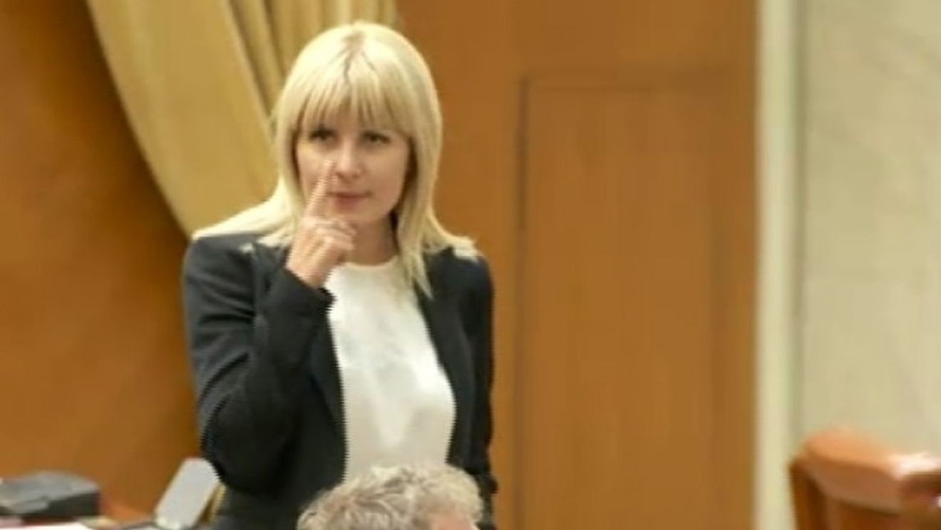 ANAF îi execută silit pe Elena Udrea şi Dorin Cocoş: Vinde cu aproape 17 milioane de lei jumătate din Euro Hotels Griviţa