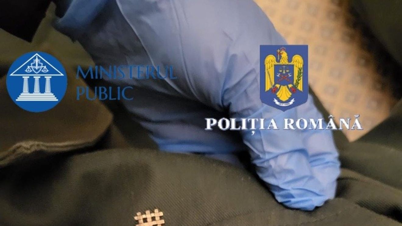 BREAKING FOTO Percheziții în București și șase județe, la extremiștii care au salutat nazist la troița lui Zelea Codreanu din Tâncăbești și la persoane care au amenințat și instigat la violențe în social media / România pedepsește cu închisoare sau amendă penală propaganda fascistă, legionară, antisemitismul, rasismul și homofobia