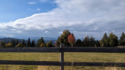 Beneficiile toamnei pentru sănătate. Cum să rămâi în formă în sezonul rece / Articol generat de AI