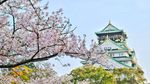 Vânzările duty-free din Japonia au crescut în mai, pe fondul boom-ului turistic
