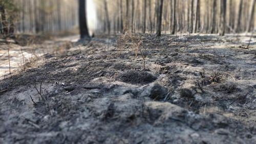 În Europa, seceta pedologică se află la cel mai scăzut nivel din 2018