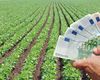 UE alocă peste 56 de milioane de euro sub formă de sprijin de urgență pentru fermierii din Portugalia, România, Cipru, Croația și Slovenia