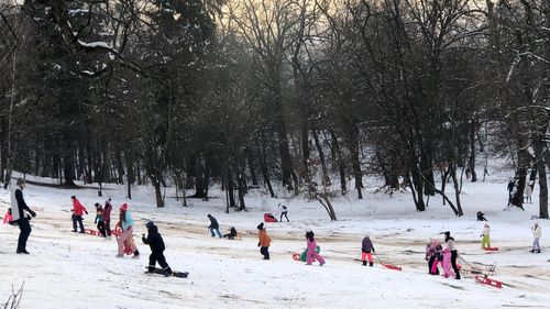 După ninsoarea din weekend, magazinele din Sibiu au rămas fără sănii în stoc / ” Le-am luat la rând, dar nu găsim”