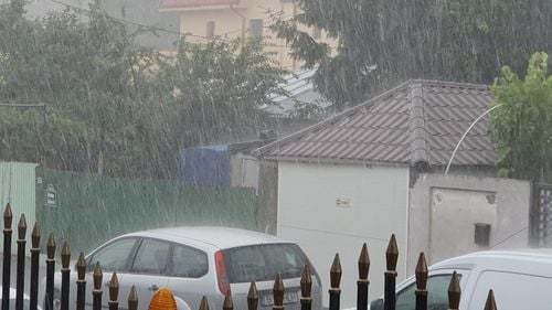 VIDEO Ploaie puternică în unele cartiere din București. Au căzut doi copaci și a fost avariată o mașină