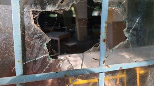 GALERIE FOTO Palatul Copiilor din Constanța, un domeniu de 12 hectare, cu foste baze sportive, căsuțe de cazare și zone de agrement, lăsat de izbeliște de Ministerul Educației de peste 20 de ani