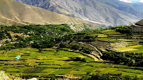 Un avion rusesc s-a prăbuşit în nord-estul Afganistanului / Autorităţile de la Moscova anunţă dispariţia de pe radar a unei curse-charter