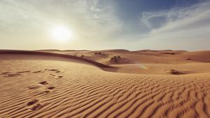 49 de oameni au murit de sete în deșert, în Niger, după ce camionul lor s-a defectat / Doi supraviețuitori au mers zeci de kilometri pentru a cere ajutor