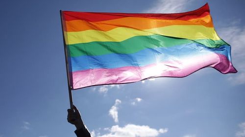 Guvernul Italiei pierde o bătălie în instanță privind documentele de identitate pentru părinții homosexuali