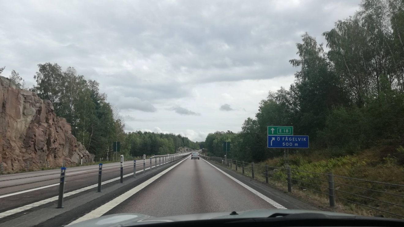 Asociația Pro Infrastructură, după valul de accidente rutiere grave din weekend: Există o soluţie simplă și ieftină de a separa sensurile și a evita astfel de carnagii / De ce nu este generalizată soluţia? Un posibil răspuns: scade viteza bizonilor (şi a celor cu girofar)