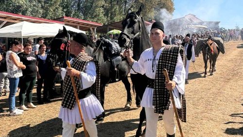 Festivalul „Coborâtul oilor” s-a desfăşurat fără ovine / Decizia a fost criticată de preşedintele Consiliului Județean Alba