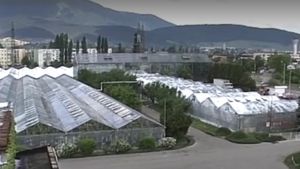 Industria înfloritoare care a fost distrusă în România. Implicația „Reginei serelor”, o femeie cu conexiuni politice