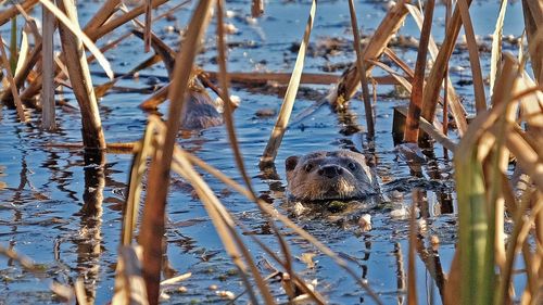 Ce poți face în acest weekend în București / Lista evenimentelor