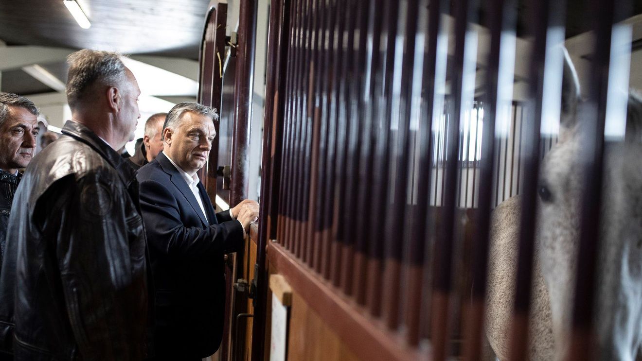Cum justifică Viktor Orban decizia de a nu mai plăti compensații deținuților pentru condițiile din închisori: Avocaţii "fac afaceri" exploatând legi "laxiste şi absurde"