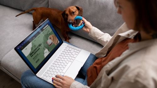 Tot mai mulți proprietari de animale caută alternative la veterinarul tradițional: Clinici mobile, telemedicină și sfaturi online