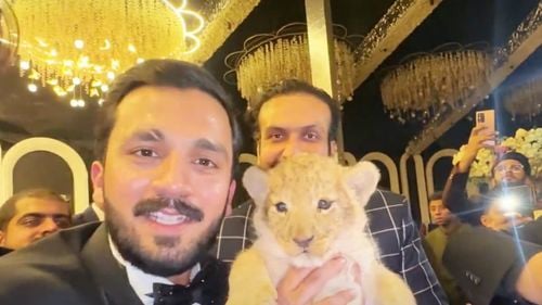 Un youtuber pakistanez a fost obligat de instanță să facă mai multe videoclipuri despre bunăstarea animalelor, după a ce primit cadou de nuntă un pui de leu de la un alt youtuber