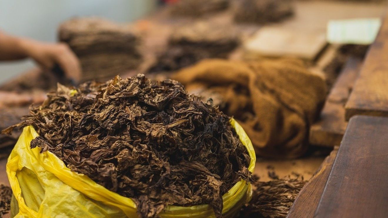 Opt persoane au fost trimise în judecată pentru că ar fi înființat o fabrică clandestină de prelucrat tutun în Călăraşi