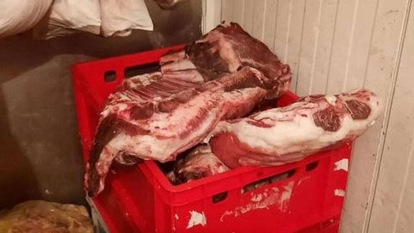 ANSVSA: Amenzi de peste 5,5 milioane lei, în urma controalelor derulate în contextul Sărbătorilor de iarnă / Au fost confiscate 15.370 de kg de produse de origine animală