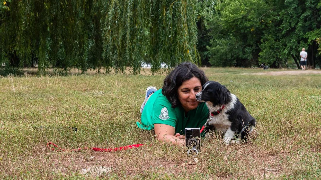Cum poate adopția unui animal să schimbe două vieți. Fă cunoștință cu o parte dintre câinii de la Adăpostul Speranța care își caută un cămin