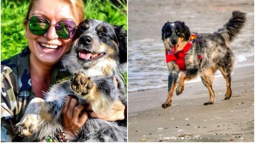 Vacanțele pet-friendly, noul trend pentru iubitorii de animale. Cum sunt gândite călătoriile pentru oameni și patrupezii lor (FOTO)