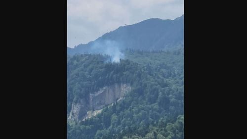 Prahova: Incendiul de vegetație uscată izbucnit în zona montană Piatra Arsă a fost localizat / Suprafața afectată – aproximativ 1.500 mp