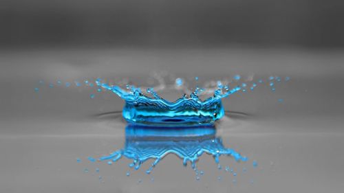 Sângele albastru există, deși este rar / Afecțiunea nu afectează doar membrii monarhiilor / De ce se spunea că nobilii au sânge albastru