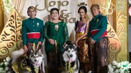 O somptuoasă ''nuntă'' de câini îmbrăcați în haine tradiționale javaneze a stârnit polemică în Indonezia / Ceremonia a costat peste 13 mii de dolari într-o țară cu mari inegalități sociale