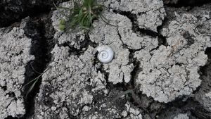 Clipul video al zilei: Delta Neajlovului secată