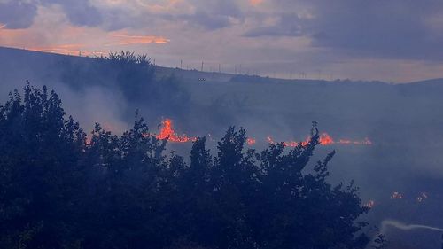 Incendiu puternic în Tulcea: Zece hectare de stuf și vegetație ard în zona lacului Babadag