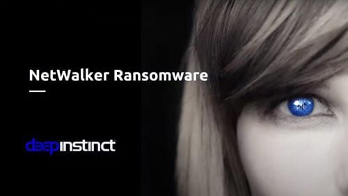 Curtea de Apel Cluj a decis să-l extrădeze în SUA pe un clujean acuzat de FBI de fraudă informatică prin ransomware