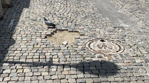 Dezastrul din Centrul Vechi al Bucureștiului, subiect de dezbatere în Primăria Capitalei. Consilieră USR către Nicușor Dan: ”Arată jalnic cum nu a arătat niciodată. Trebuie doar să aranjeze dalele existente, să le lipească, să facă fundaţia sub ele”