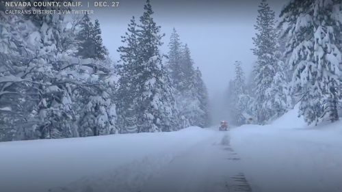 VIDEO Ninsori record în California / Nord-vestul Statelor Unite, cu zăpezi de aproape un metru