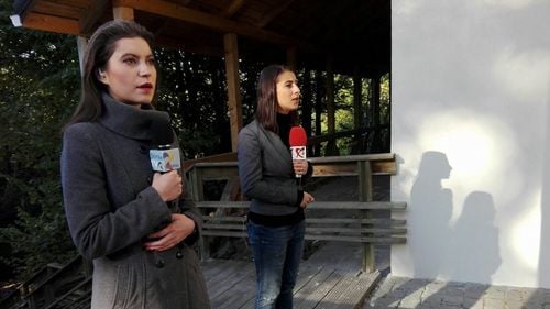 Pagina de Media: TVR retrage un ziarist de pe PSD și Parlament pentru că "e prea agresiv". Jurnalista ia demisia în calcul