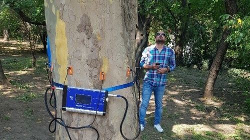 Situație absurdă la una dintre companiile Primăriei București: a plătit 150.000 de lei pentru tomografe de arbori, dar a tăiat și toaletat doar 8 copaci bolnavi. Capitala e plină de arbori uscați, la ultima furtună au fost distruse 43 de mașini