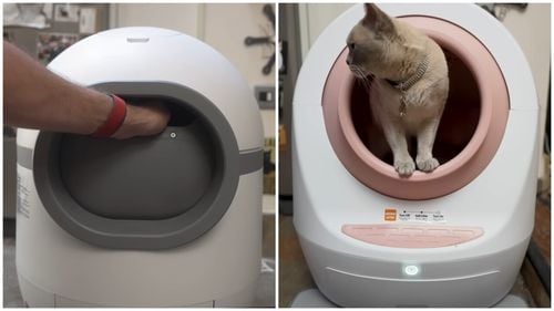 Pericolul litierelor automate generice: Un utilizator de Amazon susține că dispozitivul i-a ucis pisica / Forța necesară pentru a-ți scoate mâna prinsă de dispozitiv o depășește pe cea a majorității copiilor