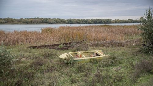 USR: Ministrul Agriculturii minte ca să acopere combinațiile pentru familia lui Paul Stănescu. Am depus din octombrie un proiect de lege prin care să fie anulate modificările cu dedicație operate de PSD-PNL, dar se va discuta abia luni