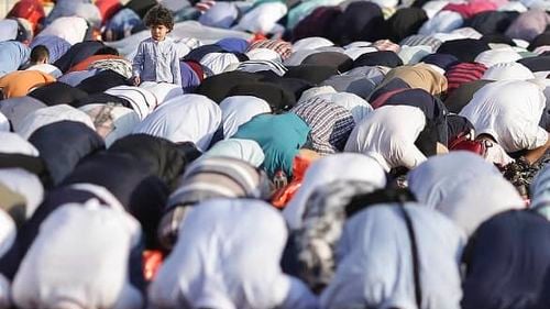 Montreal: Agenţi anti-zvon vor combate informaţiile false despre imigranţi