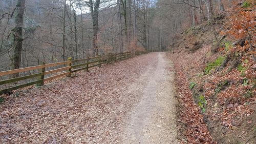 Drumul vechi spre Poiana Brașov, refăcut de autoritățile locale cu material rezultat din decolmatarea pârâului Cheu și din aluviuni