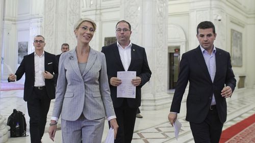 Vicepremierul Raluca Turcan: PNL are proiecte de lege privind desfiinţarea secţiei speciale şi abrogarea recursului compensatoriu