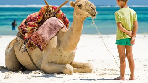 Agenții de turism: Românii au alocat bugete mai mari pentru vacanțe anul acesta / Egiptul, printre cele mai căutate destinații exotice de Crăciun și Revelion