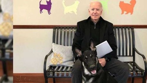 Joe Biden și-a luxat glezna în timp ce se juca cu câinele său