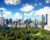 Un tânăr de 18 ani a murit într-un accident de trăsură în Central Park / Primarul orașului New York vrea să oprească circulația trăsurilor pentru „bunăstarea cailor”