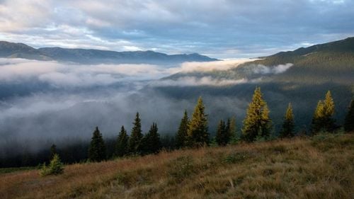 Reportaj Financial Times: La picior prin ultima regiune sălbatică a Europei - frumusețea și istoria crâncenă a Carpaților