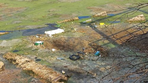 FOTOGALERIE  Cum arată Mogoșoaia, comuna în care primarul vrea să construiască un oraș,"Sectorul 0": Străzi neasfaltate și fără canalizare, mizerie la tot pasul, grădiniță începută acum 16 ani și neterminată, dispensar deplorabil