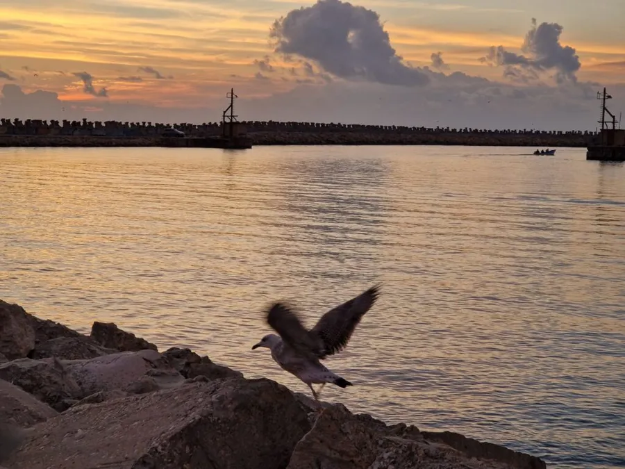 rasarit soare pescarus litoral marea neagră plaja dimineata constanta