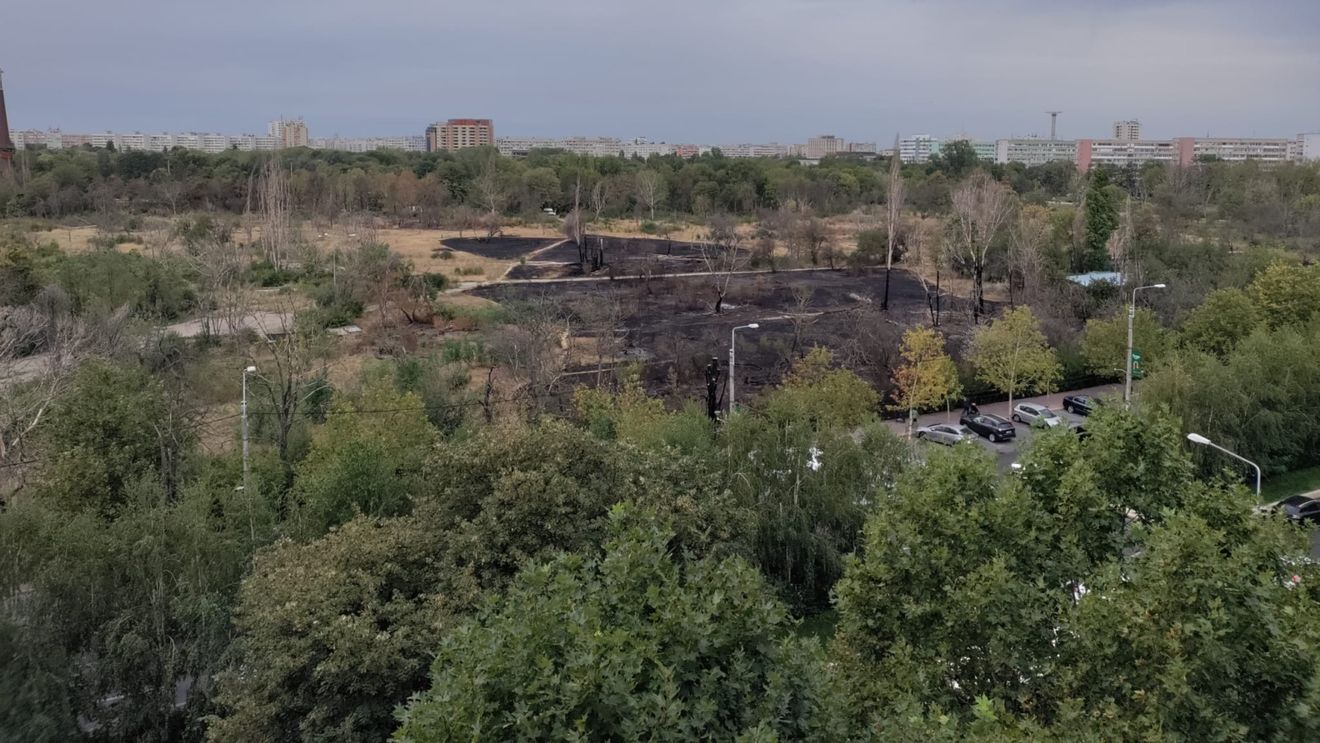 Bucureştenii pot vedea cu ajutorul unei hărţi digitale cât de verde este zona în care trăiesc
