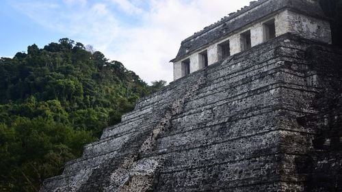 Un cercetător a descoperit întâmplător un oraș pierdut în jungla din Mexic