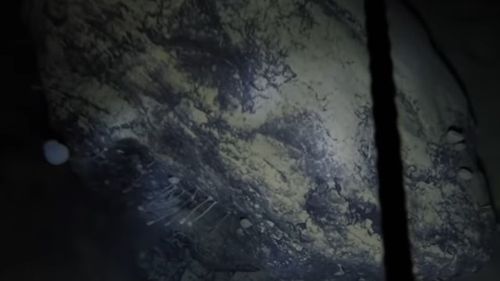 VIDEO "Creaturi stranii'', descoperite de oamenii de ştiinţă sub un strat de gheață de 900 de metri din Antarctica