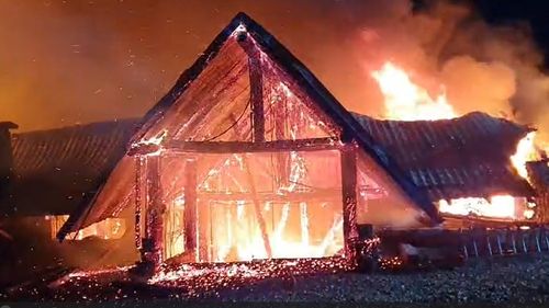 O studentă la Sociologie și prietenul ei au murit în incendiul de la Ferma Dacilor. Au decis spontan să petreacă o seară la pensiune / Mama tinerei a aflat întâmplător că fiica ei ar putea fi printre victime