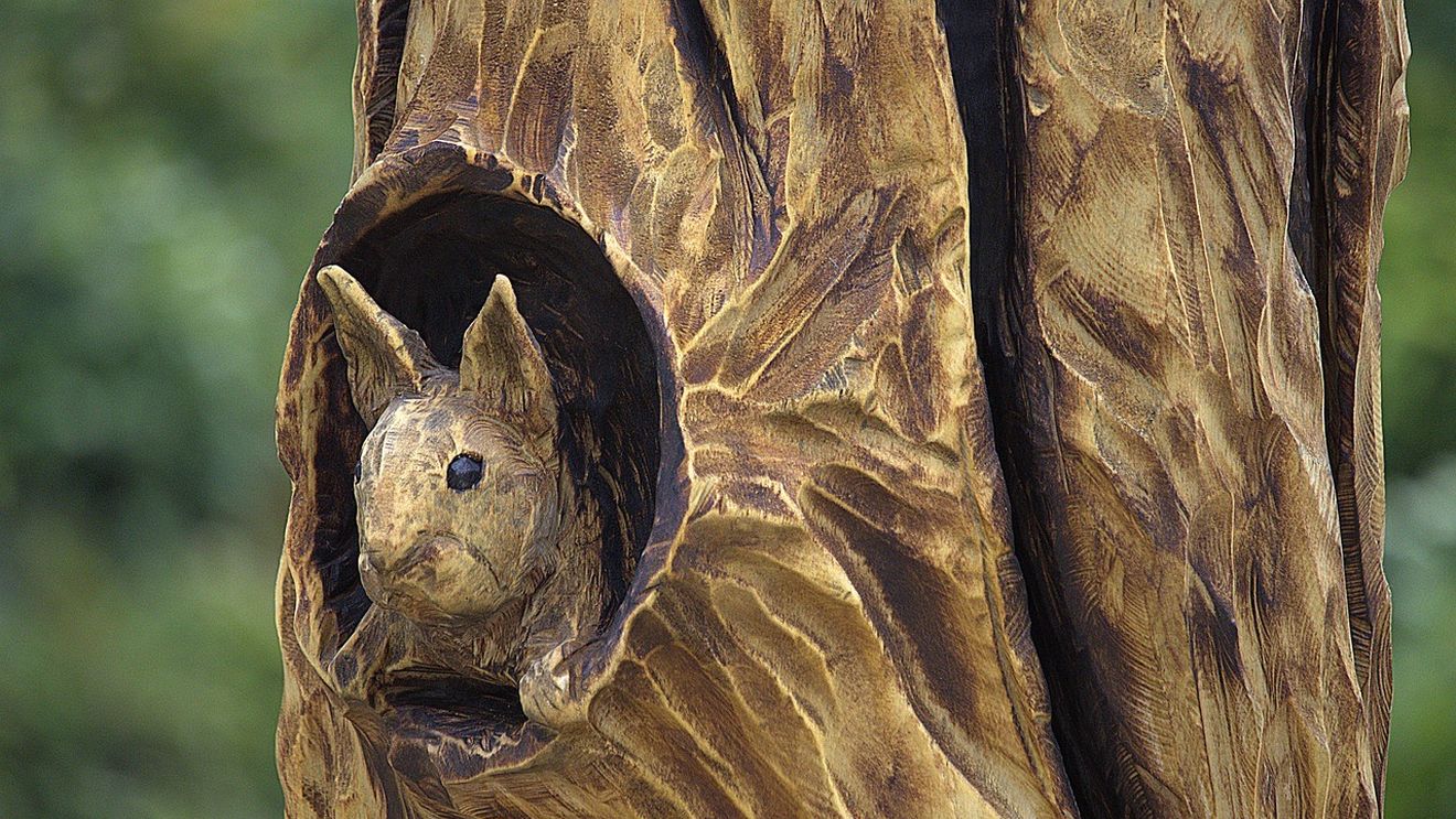 Festivalul Naţional al Sculptorilor cu Drujba la Vaideeni, Vâlcea / ”Am găsit un buştean mare şi mi s-a părut că spune ceva. Am luat drujba şi am început să-l tai şi mi-am făcut un bust”